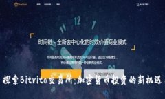 探索Bitvito交易所：加密货