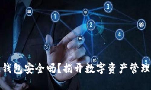 下载区块链钱包安全吗？揭开数字资产管理的神秘面纱