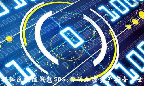   
揭秘区块链钱包SOS：你的加密资产安全卫士