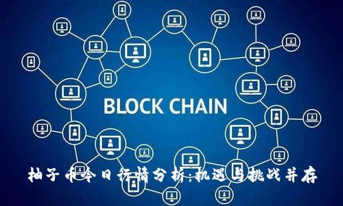 柚子币今日行情分析：机遇与挑战并存