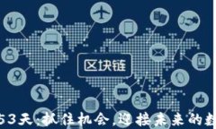 维卡币最后53天：抓住机会