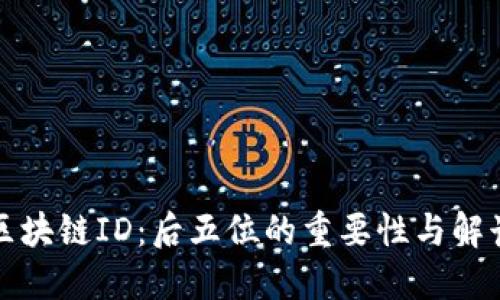揭秘区块链ID：后五位的重要性与解读方法