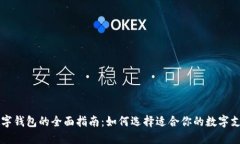 中国数字钱包的全面指南
