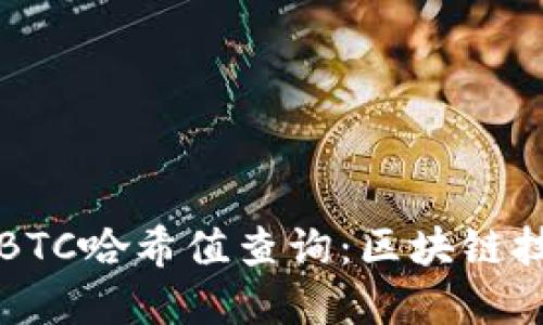 深入了解BTC哈希值查询：区块链技术的核心