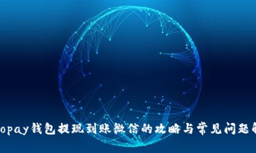 : Topay钱包提现到账微信的攻略与常见问题解答