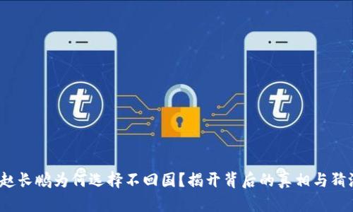  赵长鹏为何选择不回国？揭开背后的真相与猜测
