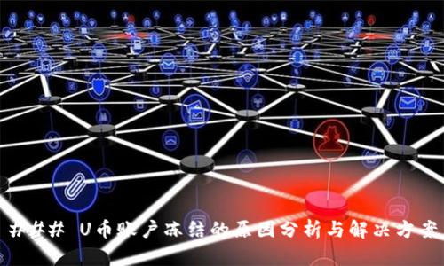 ### U币账户冻结的原因分析与解决方案