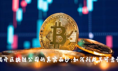 揭开区块链公司的真实面纱：如何判断其可靠性