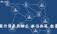 : 币圈行情最新动态：抓住