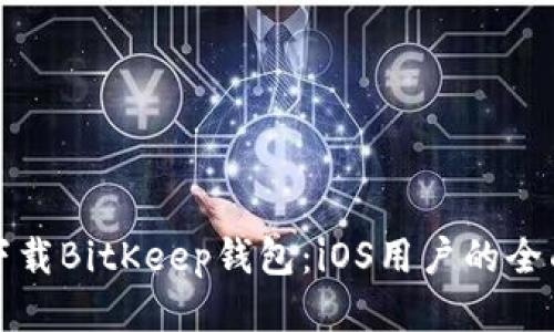 轻松下载BitKeep钱包：iOS用户的全面指南