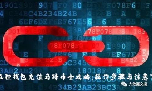 小狐狸钱包充值马蹄币全攻略：操作步骤与注意事项
