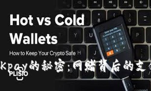 揭开OKpay的秘密：网赌背后的支付选择