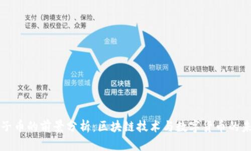柚子币的前景分析：区块链技术与数字货币的未来