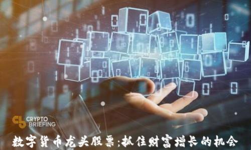 
数字货币龙头股票：抓住财富增长的机会