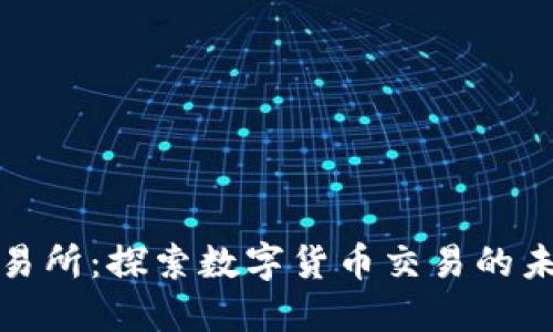 数字币交易所：探索数字货币交易的未来与挑战