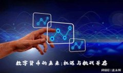 数字货币的未来：机遇与