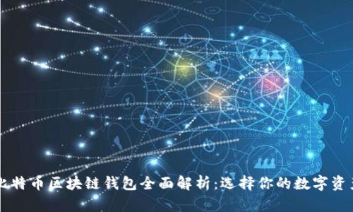 以太坊与比特币区块链钱包全面解析：选择你的数字资产管理利器