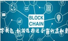 最出名的数字钱包：如何