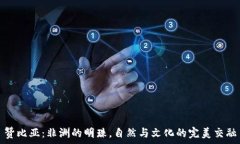   赞比亚：非洲的明珠，自