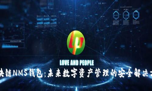 区块链NMS钱包：未来数字资产管理的安全解决方案