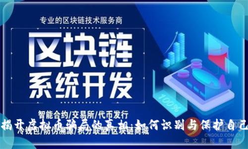 揭开虚拟币骗局的真相：如何识别与保护自己