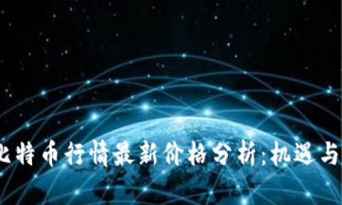 2023年比特币行情最新价格分析：机遇与挑战并存