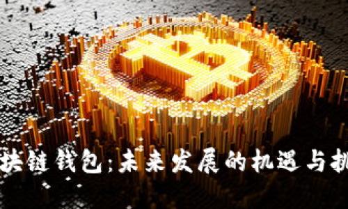 区块链钱包：未来发展的机遇与挑战