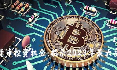 数字货币投资机会：揭示2023年最大受益股