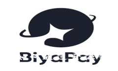 数字货币的未来：如何通