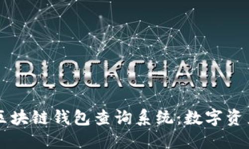 高效安全的区块链钱包查询系统：数字资产管理新利器