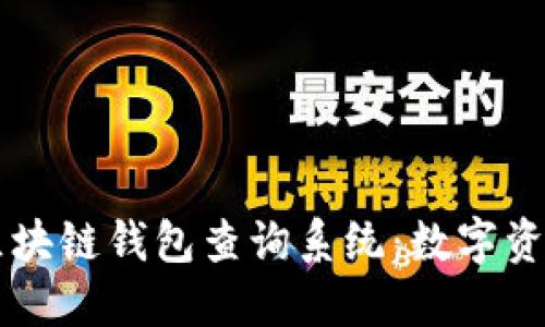 高效安全的区块链钱包查询系统：数字资产管理新利器