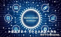 : 加密数字货币：驾驭未来