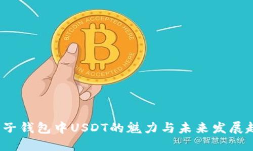 电子钱包中USDT的魅力与未来发展趋势