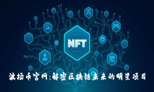 波场币官网：解密区块链未来的明星项目