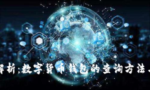 全面解析：数字货币钱包的查询方法与技巧
