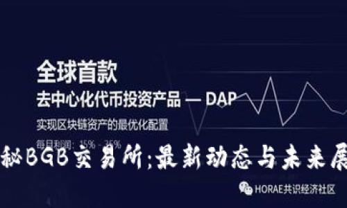 揭秘BGB交易所：最新动态与未来展望