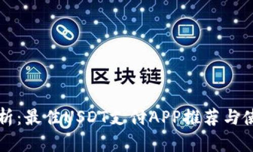 全面解析：最佳USDT支付APP推荐与使用指南