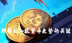 新加坡汇率: 理解新加坡货