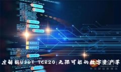 深度解析USDT TCR20：无限可能的数字资产革命