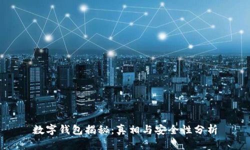 数字钱包揭秘：真相与安全性分析