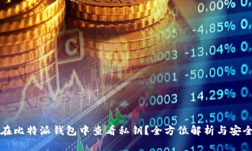 如何在比特派钱包中查看私钥？全方位解析与安全指南