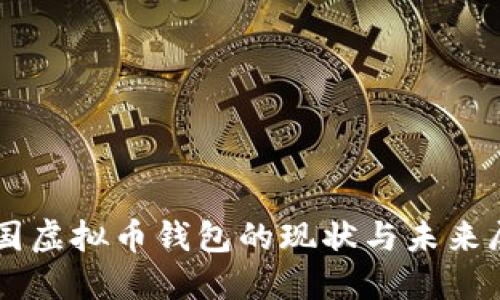 中国虚拟币钱包的现状与未来展望