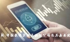 深度解析：中国最顶尖的