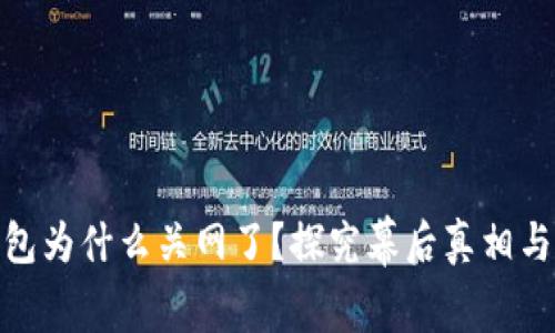 : 国际钱包为什么关网了？探究幕后真相与未来走向
