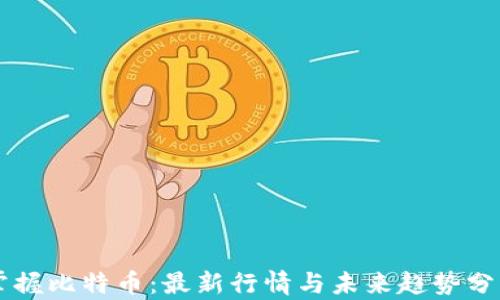 
掌握比特币：最新行情与未来趋势分析