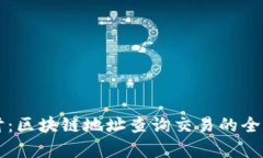 深入探讨：区块链地址查询交易的全方位解析