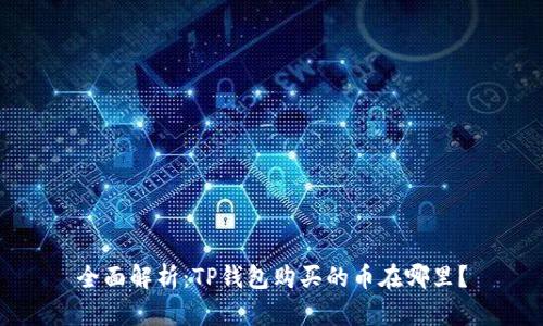 全面解析：TP钱包购买的币在哪里？