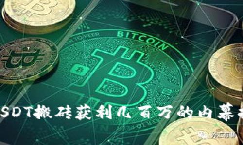 : USDT搬砖获利几百万的内幕揭秘
