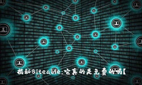 揭秘Biteable：它真的是免费的吗？