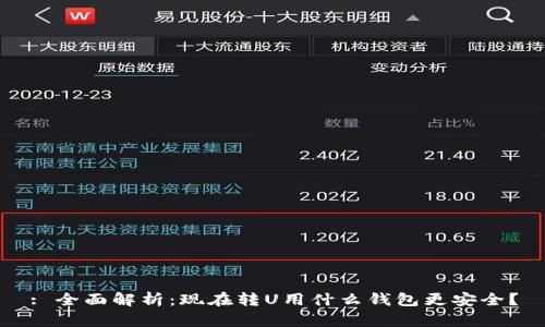 : 全面解析：现在转U用什么钱包更安全？